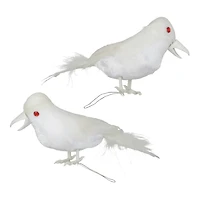 Mini White Crow Set by Ashland®