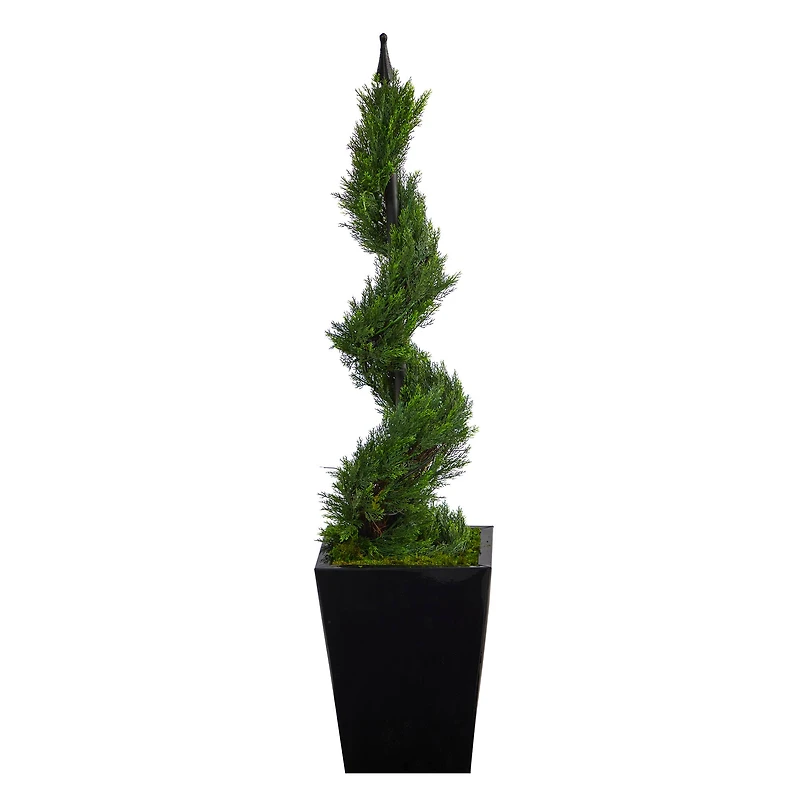 3.6ft. Spiral Cypress Topiary in Black Metal Planter