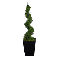 3.6ft. Spiral Cypress Topiary in Black Metal Planter