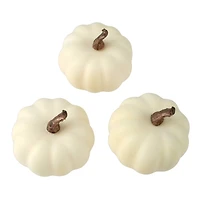 Cream Pumpkins, 6ct. by Ashland®