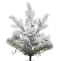 6.5ft. Pre-Lit Flocked Kiana Artificial Christmas Tree, Wide Angle Warm White LED Lights