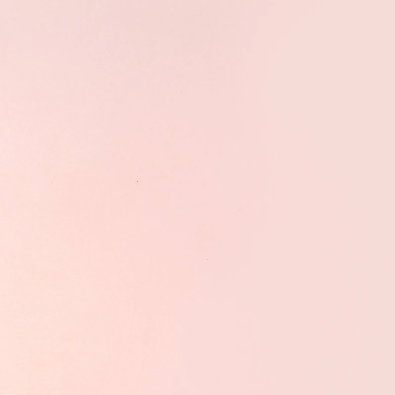 12" x 12" Pink Vellum Paper by Recollections™