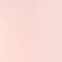 12" x 12" Pink Vellum Paper by Recollections™