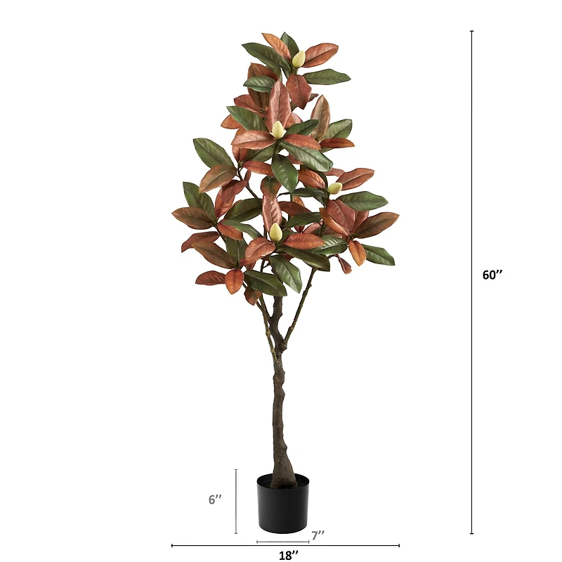 5ft. Potted Fall Magnolia Tree