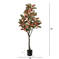 5ft. Potted Fall Magnolia Tree