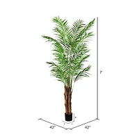 7ft. Potted Giant Areca Palm Tree