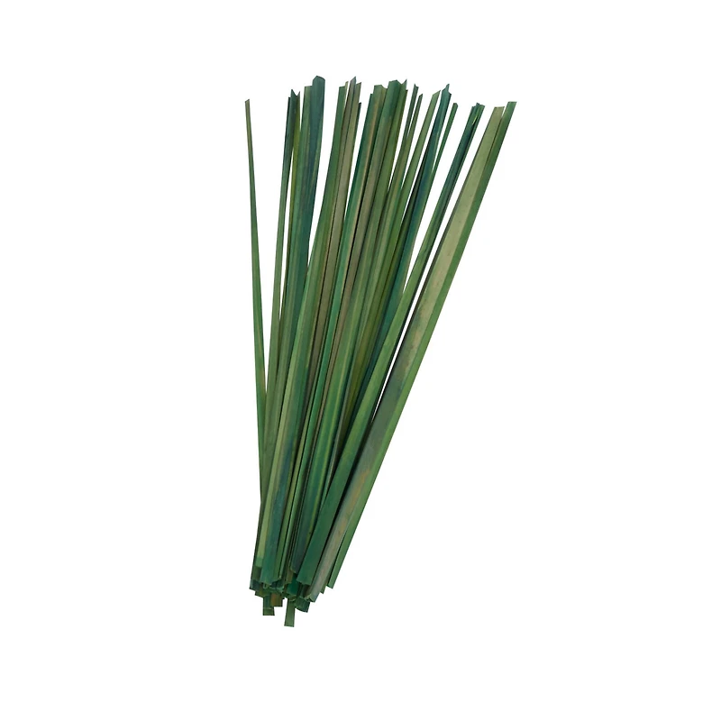 39" Dried Plant Sticks Natural Foliage With Slender Stems