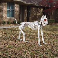 5ft. Oversized Posable Cat Skeleton by Ashland®