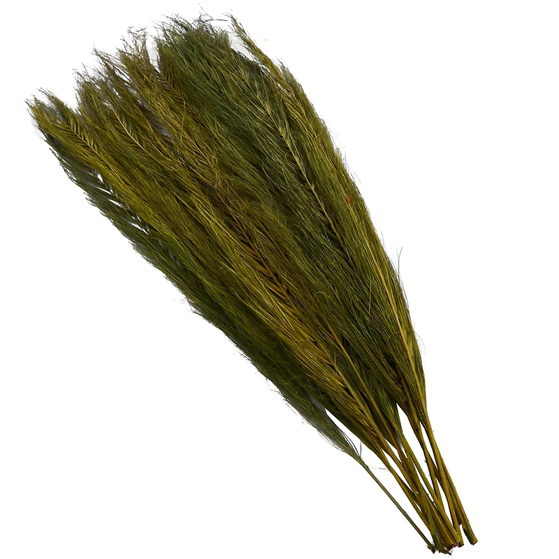 35" Natural Dried Palm Leaf Bundle with Feather-Inspired Stems