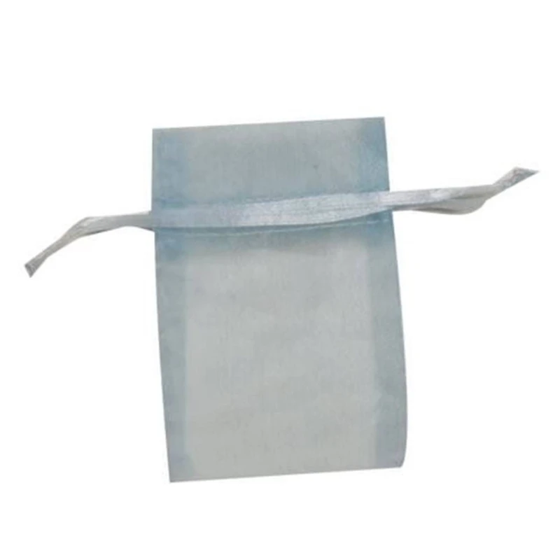 JAM Paper Sheer String Tie Gift Bags