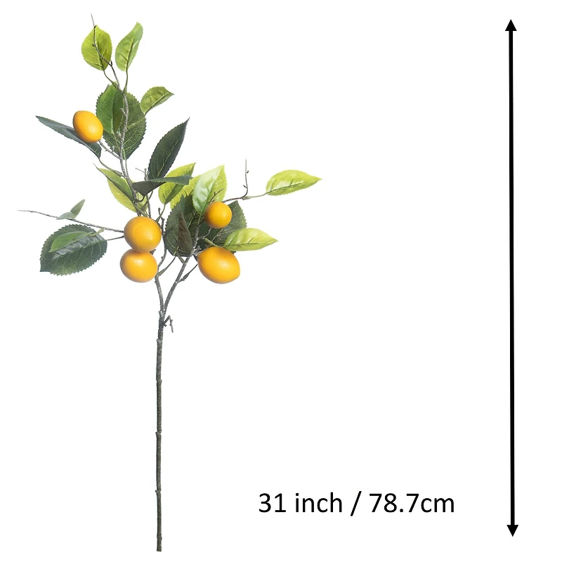 31" Lemon Branch by Ashland®