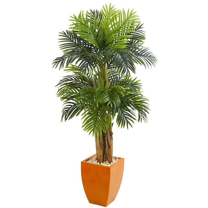 5.5ft. Triple Areca Palm Tree with Orange Planter