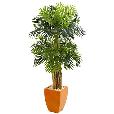5.5ft. Triple Areca Palm Tree with Orange Planter