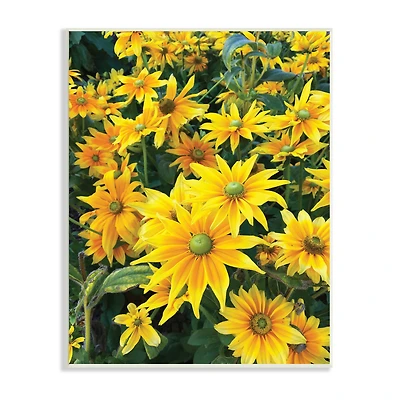 Stupell Industries Sunflower Field Blooming Green Bulbs Yellow Petals Wall Plaque