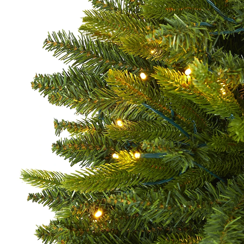 6ft. Pre-Lit Sun Valley Fir Artificial Christmas Tree, Clear LED Lights