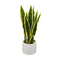 The Novogratz 17" Green Snake Faux Foliage Artificial Plant with White Porcelain Pot