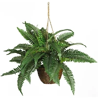 18" Boston Fern Hanging Basket