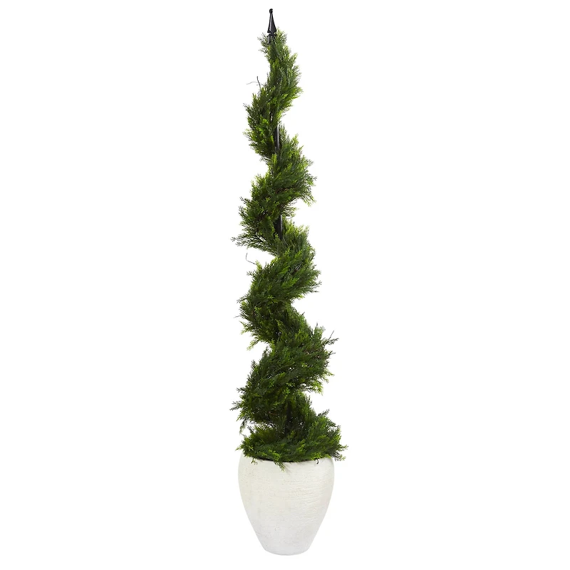 5.5ft. Cypress Spiral Tree in White Planter