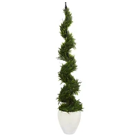 5.5ft. Cypress Spiral Tree in White Planter