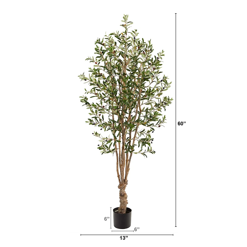 5ft. Potted Olive Tree