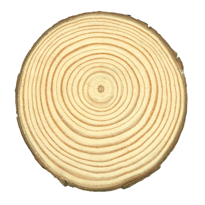 3.875" Pinewood Slice by Make Market®