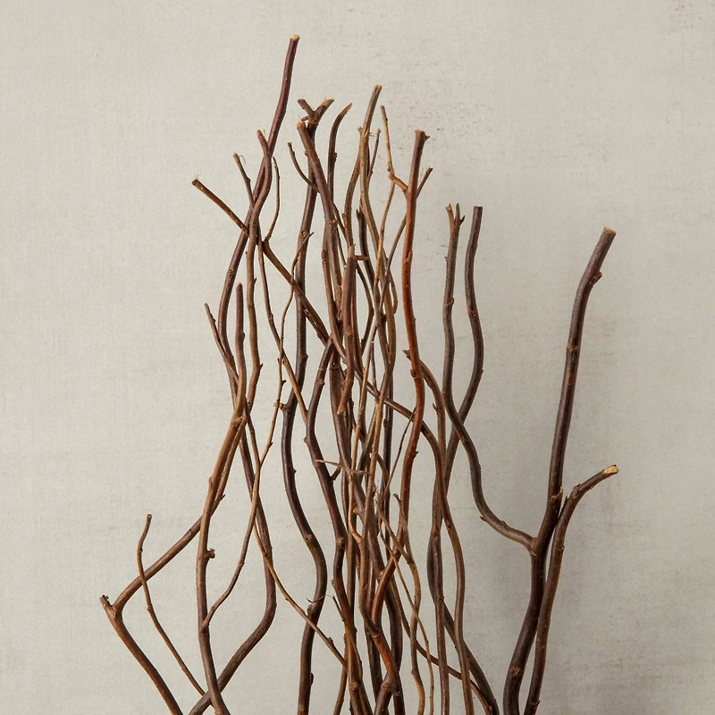 12 Pack: Natural Curly Willow by Ashland