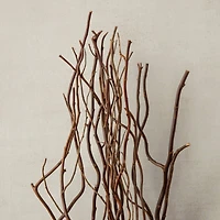 12 Pack: Natural Curly Willow by Ashland