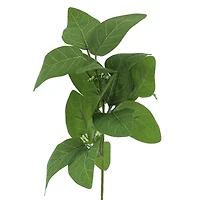 13" Long Eucalyptus Pick by Ashland®