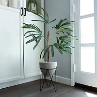Flora Bunda® 40" Switch Cane Palm In Cement Planter On Metal Stand