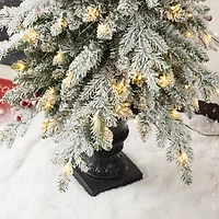2 Pack 5ft. Pre-Lit Flocked Fir Artificial Christmas Porch Tree in Planter, Warm White Lights