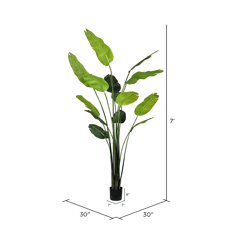 7ft. Potted Travellers Palm Tree