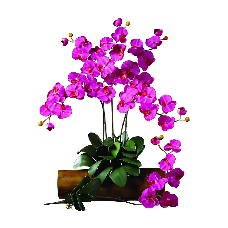 Beauty Pink Moth Orchid Stem, 6ct.