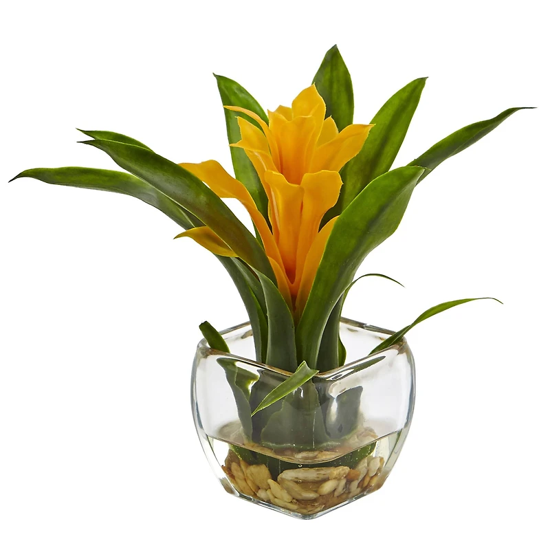 8" Bromeliad Arrangement with Glass Vase Set