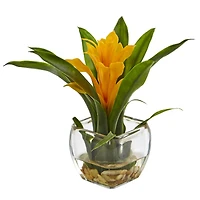 8" Bromeliad Arrangement with Glass Vase Set