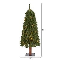 3ft. Pre-Lit Grand Alpine Artificial Christmas Tree, Clear LED Lights