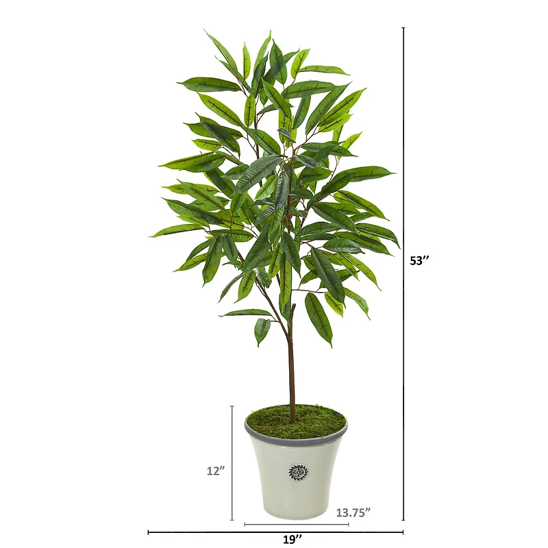 4ft. Ficus in Decorative Planter