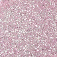 5.7oz. Chunky Polyester Glitter by Recollections