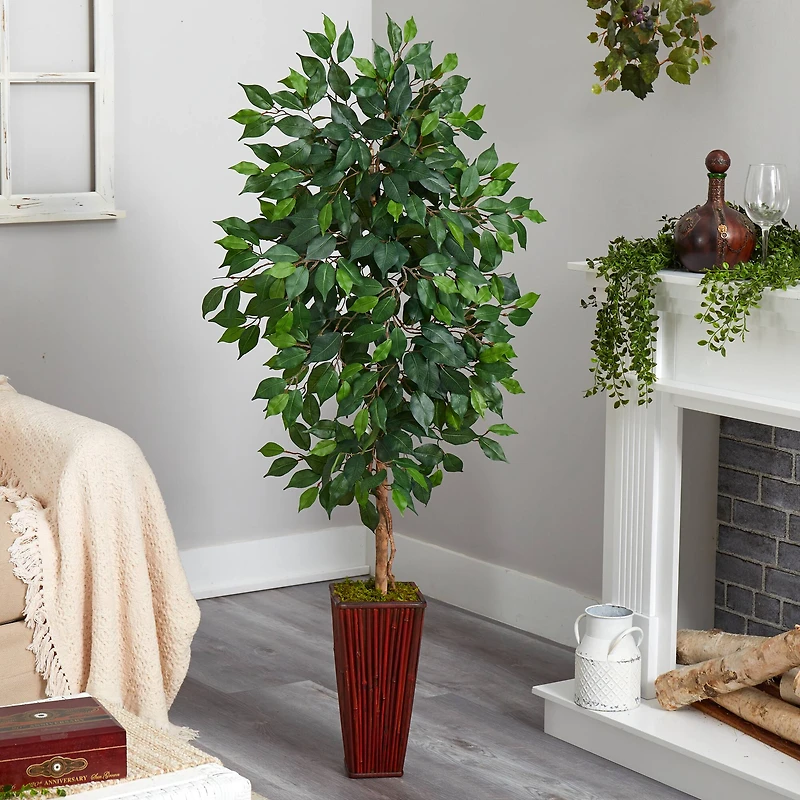 5ft. Ficus Tree in Bamboo Planter