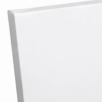 Sketched Jar with Leaves 16" x 20" Canvas Wall Art