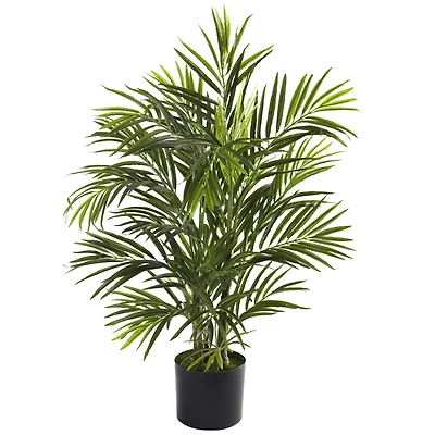 2.5ft. Potted Areca Palm