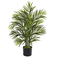 2.5ft. Potted Areca Palm