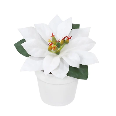 2.5" Premade White Velvet Poinsettia in White Terracotta Pot by Ashland®