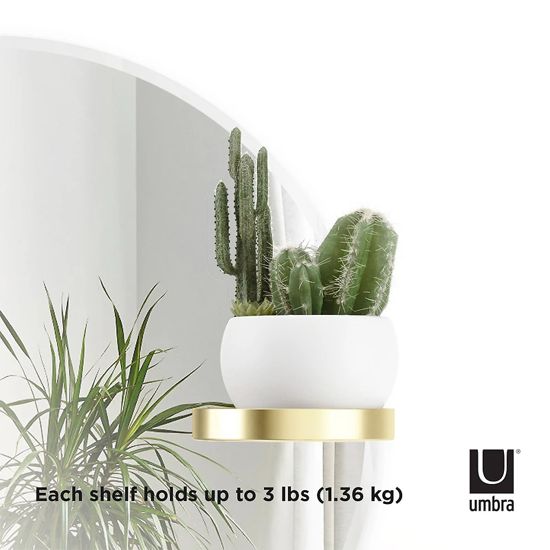 Umbra 24" Perch Round Wall Mirror