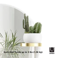 Umbra 24" Perch Round Wall Mirror