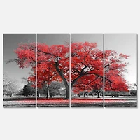 Designart - Big Red Tree on Foggy Day
