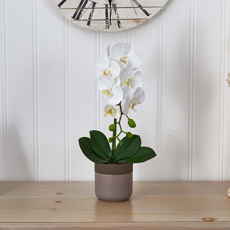 19" White Orchid in Ceramic Pot