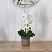 19" White Orchid in Ceramic Pot