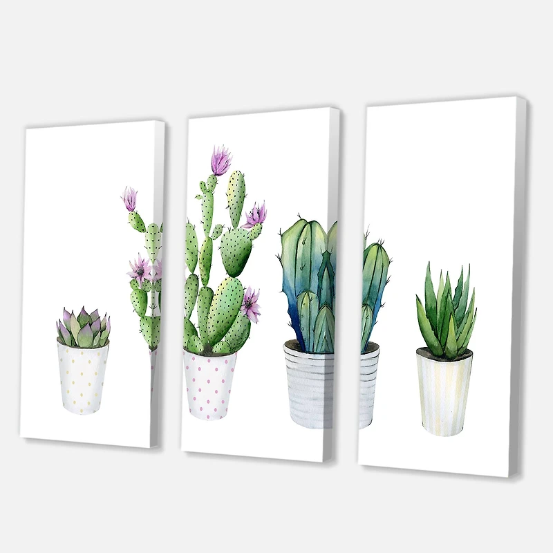 Designart - Cactus Succulent Aloe Vera Home Plants In The Pots