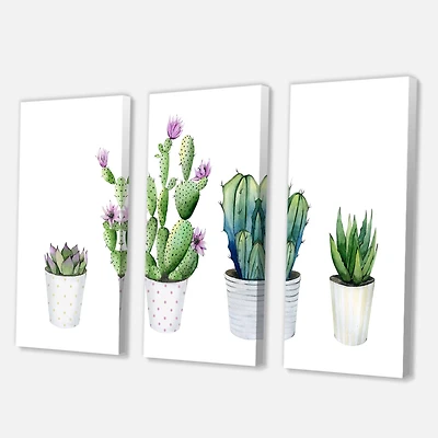 Designart - Cactus Succulent Aloe Vera Home Plants In The Pots
