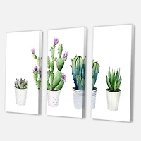 Designart - Cactus Succulent Aloe Vera Home Plants In The Pots